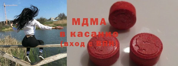 стаф Алексин