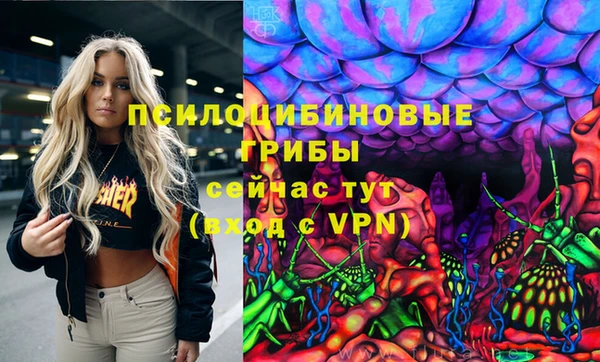ГАЛЛЮЦИНОГЕННЫЕ ГРИБЫ Абдулино