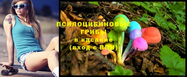 стаф Алексин