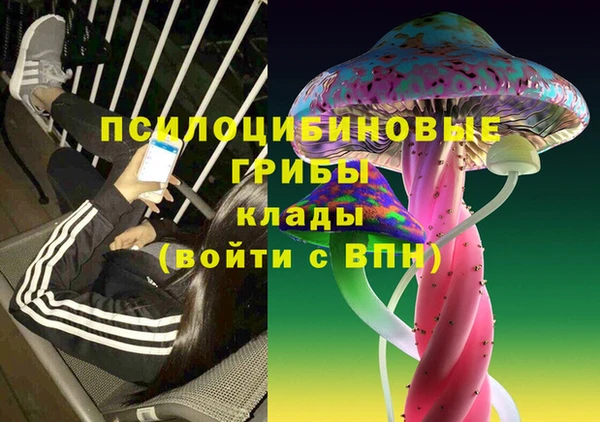 прущие крисы Алексеевка