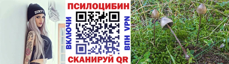 Галлюциногенные грибы Cubensis Костерёво